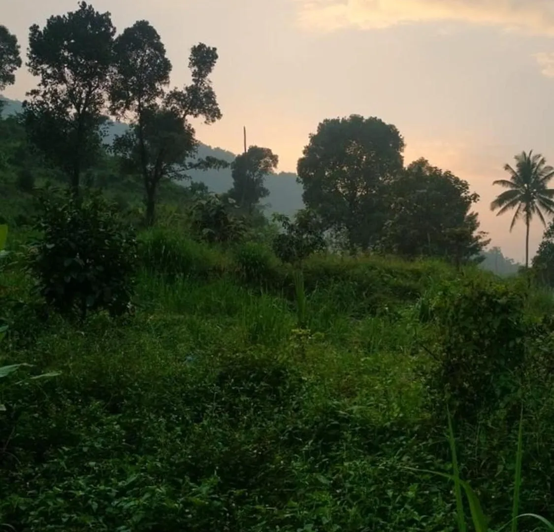 Poovanathil Farm Stay Anakkampoyil By Lexstays Vallikavungal 0*,