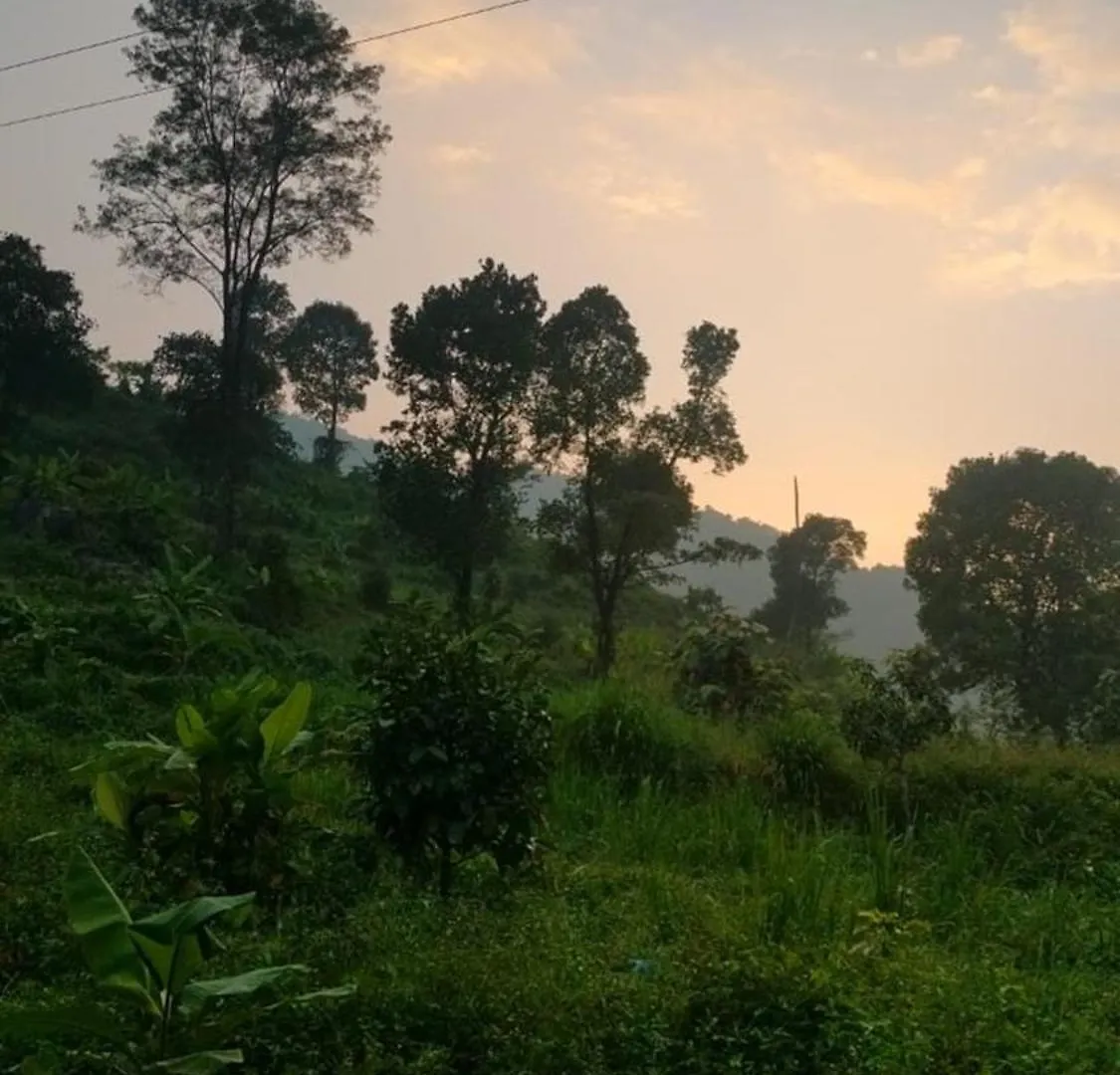 Poovanathil Farm Stay Anakkampoyil By Lexstays Vallikavungal