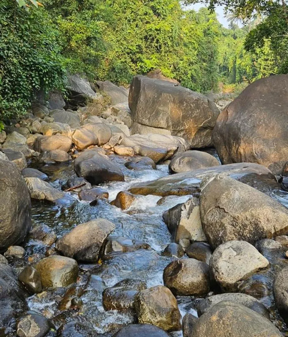 Villa Poovanathil Farm Stay Anakkampoyil By Lexstays Vallikavungal India