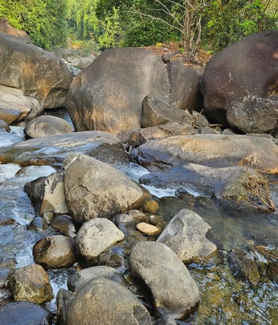 Poovanathil Farm Stay Anakkampoyil By Lexstays Vallikavungal
